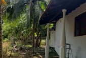 Valuable House with Land for Salre in Papiliwela