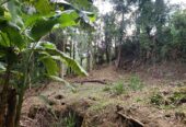 Valuable House with Land for Salre in Papiliwela