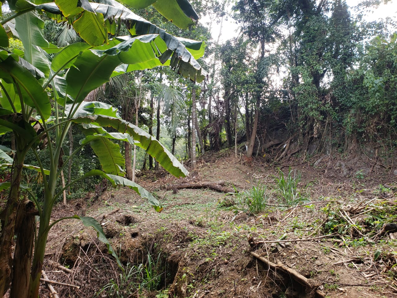 Valuable House with Land for Salre in Papiliwela