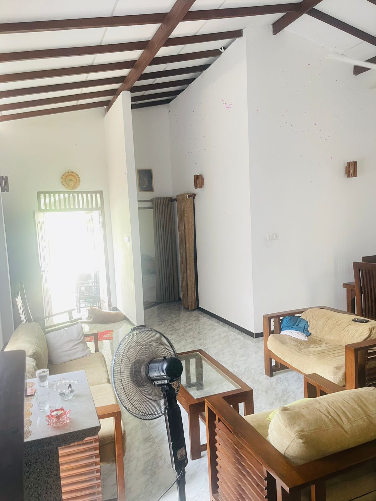 Modern Luxury House for Sale in Dampe