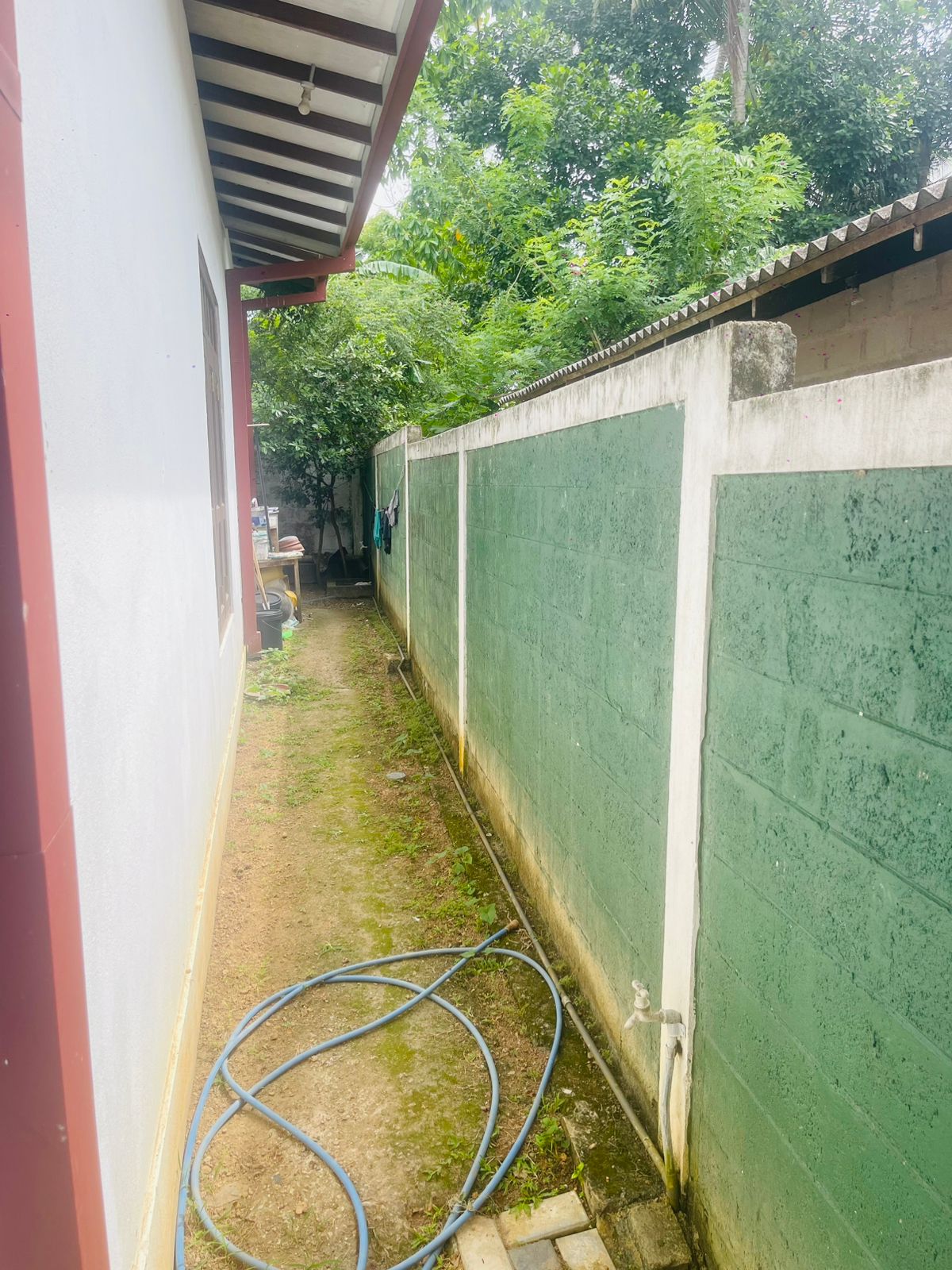 Modern Luxury House for Sale in Dampe