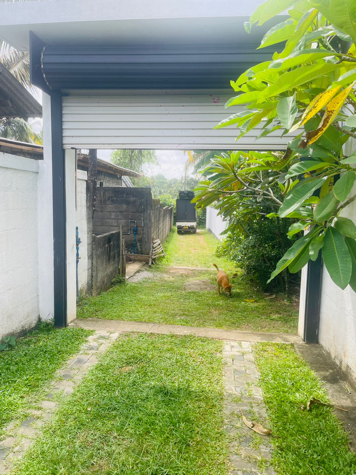 Modern Luxury House for Sale in Dampe