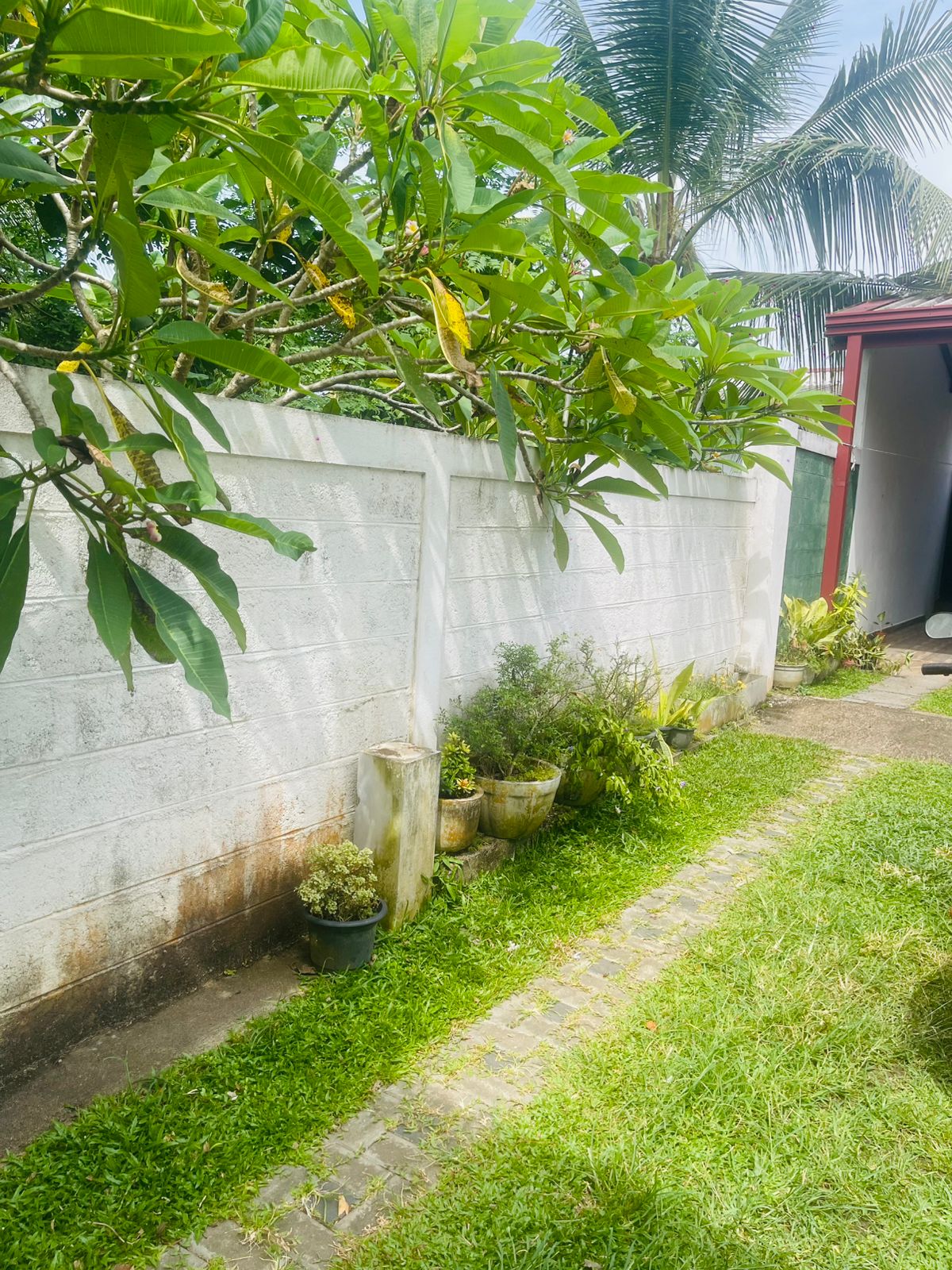 Modern Luxury House for Sale in Dampe