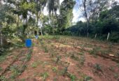 House with Land for Sale තලාතුඔය
