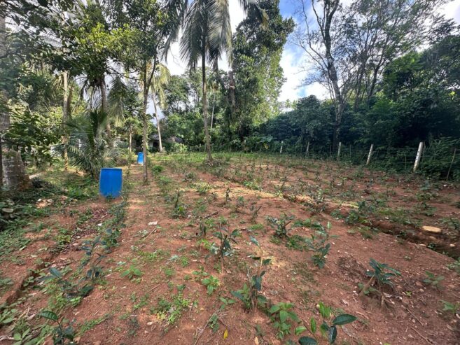 House with Land for Sale තලාතුඔය