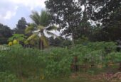 Land For Sale In Kiriwattuduwa