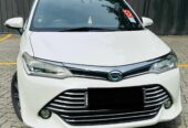 Toyota Axio WXB 2016