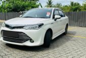 Toyota Axio WXB 2016