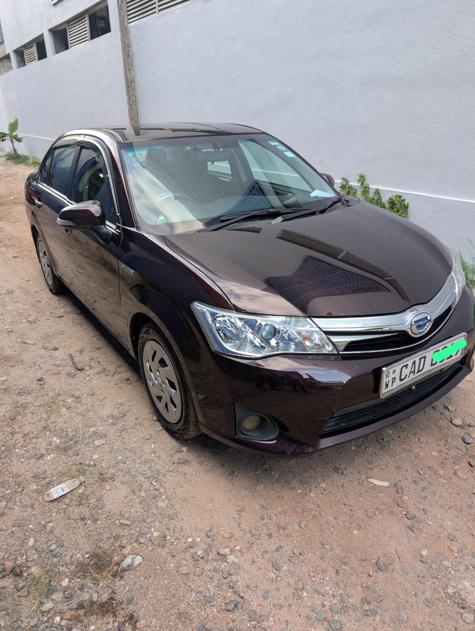 Toyota Axio 2014