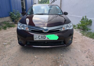 Toyota Axio 2014