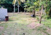 Land For Sale In Ja-Ela