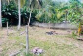 Land For Sale In Ja-Ela