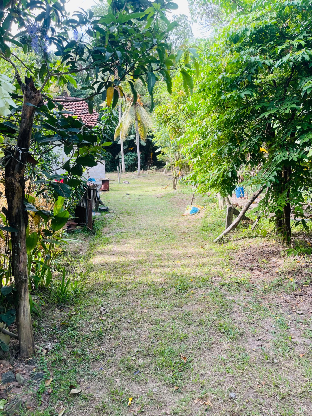 Land For Sale In Ja-Ela