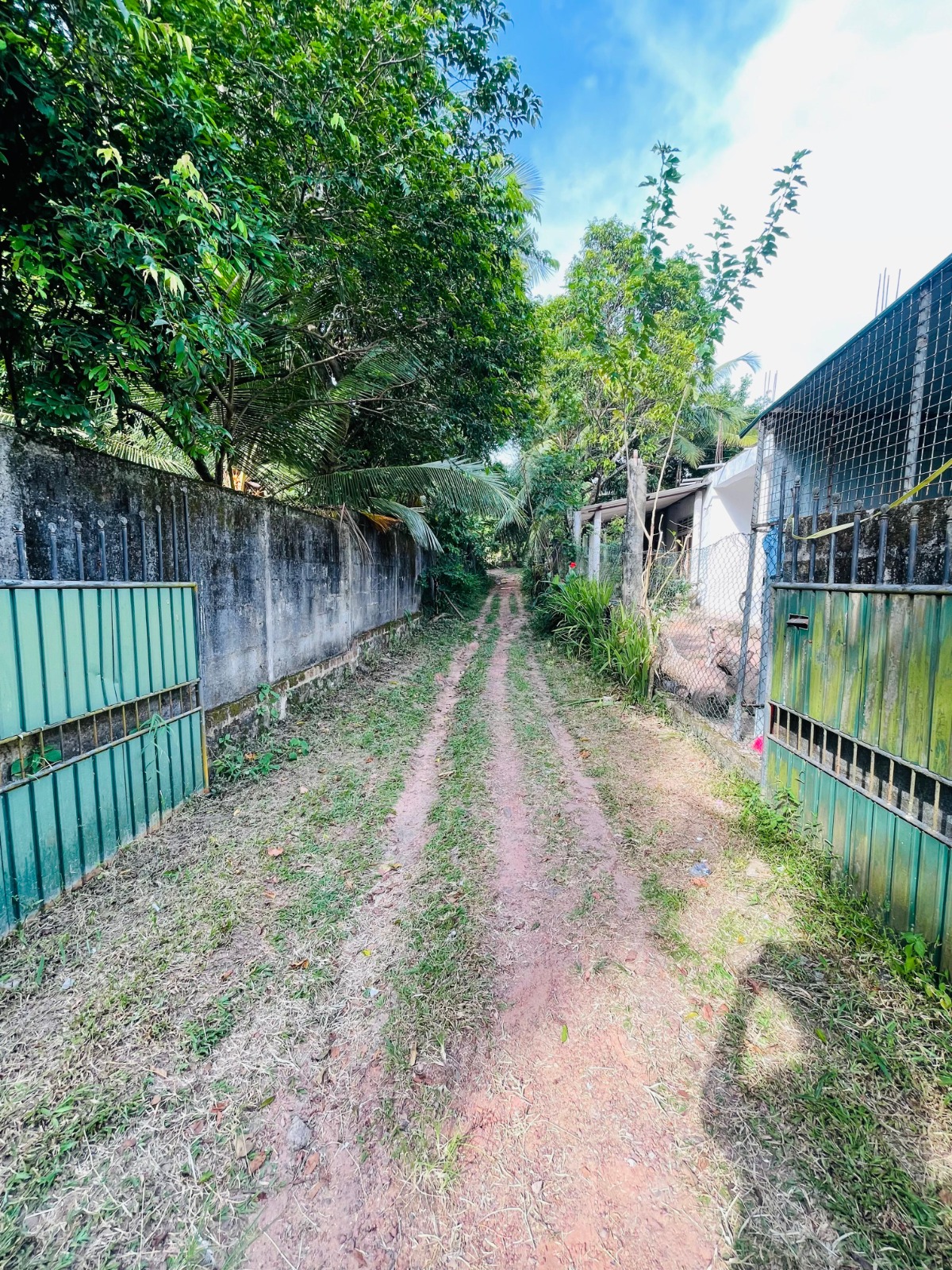 Land For Sale In Ja-Ela