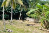 Land For Sale In Ja-Ela