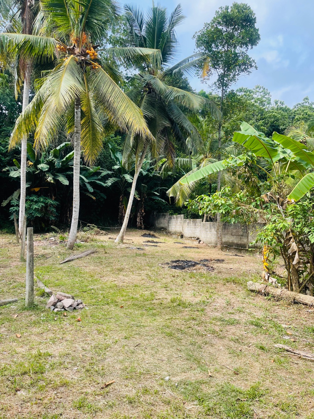 Land For Sale In Ja-Ela