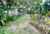 Land For Sale In Ja-Ela