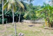 Land For Sale In Ja-Ela
