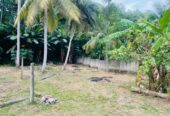 Land For Sale In Ja-Ela