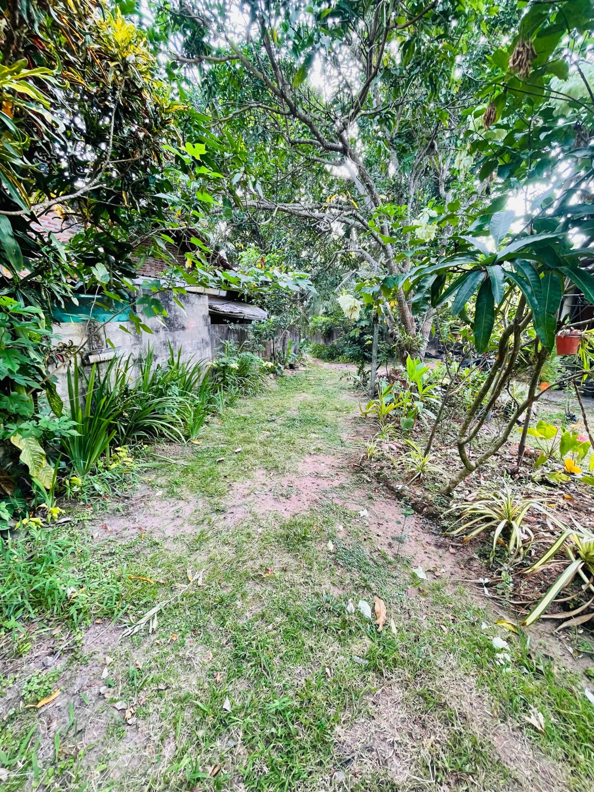 Land For Sale In Ja-Ela