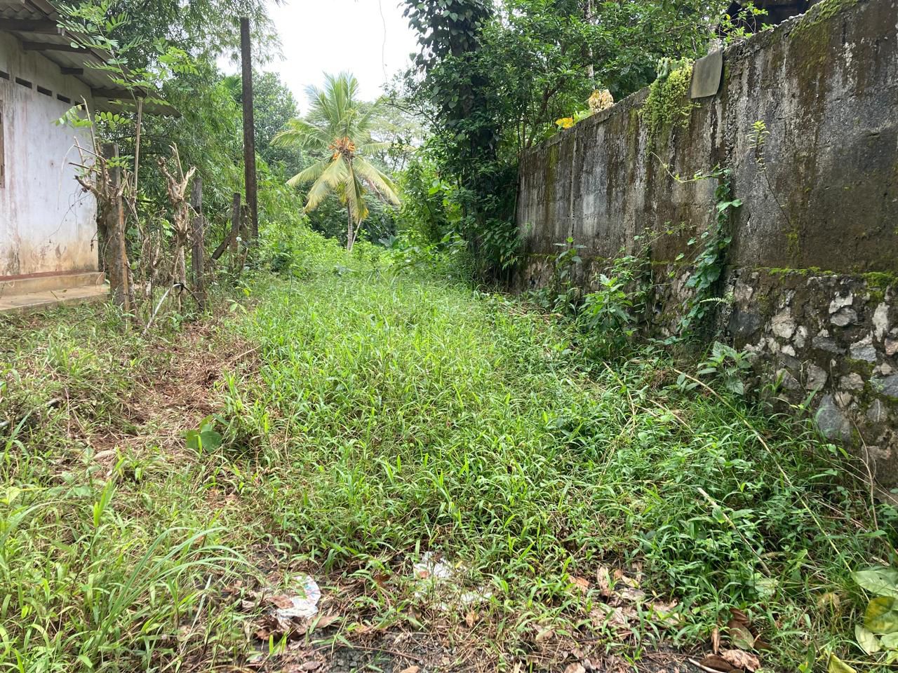 Land for Sale Horana