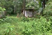 Land for Sale Horana