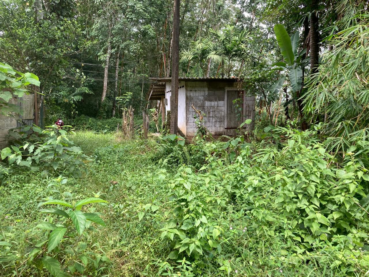 Land for Sale Horana