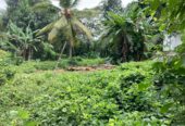Land for Sale Horana