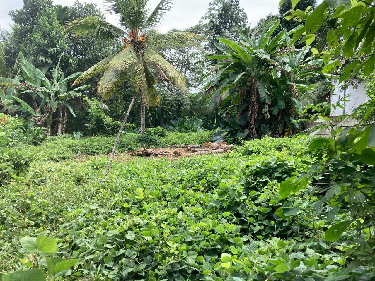 Land for Sale Horana