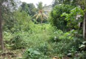 Land for Sale Horana