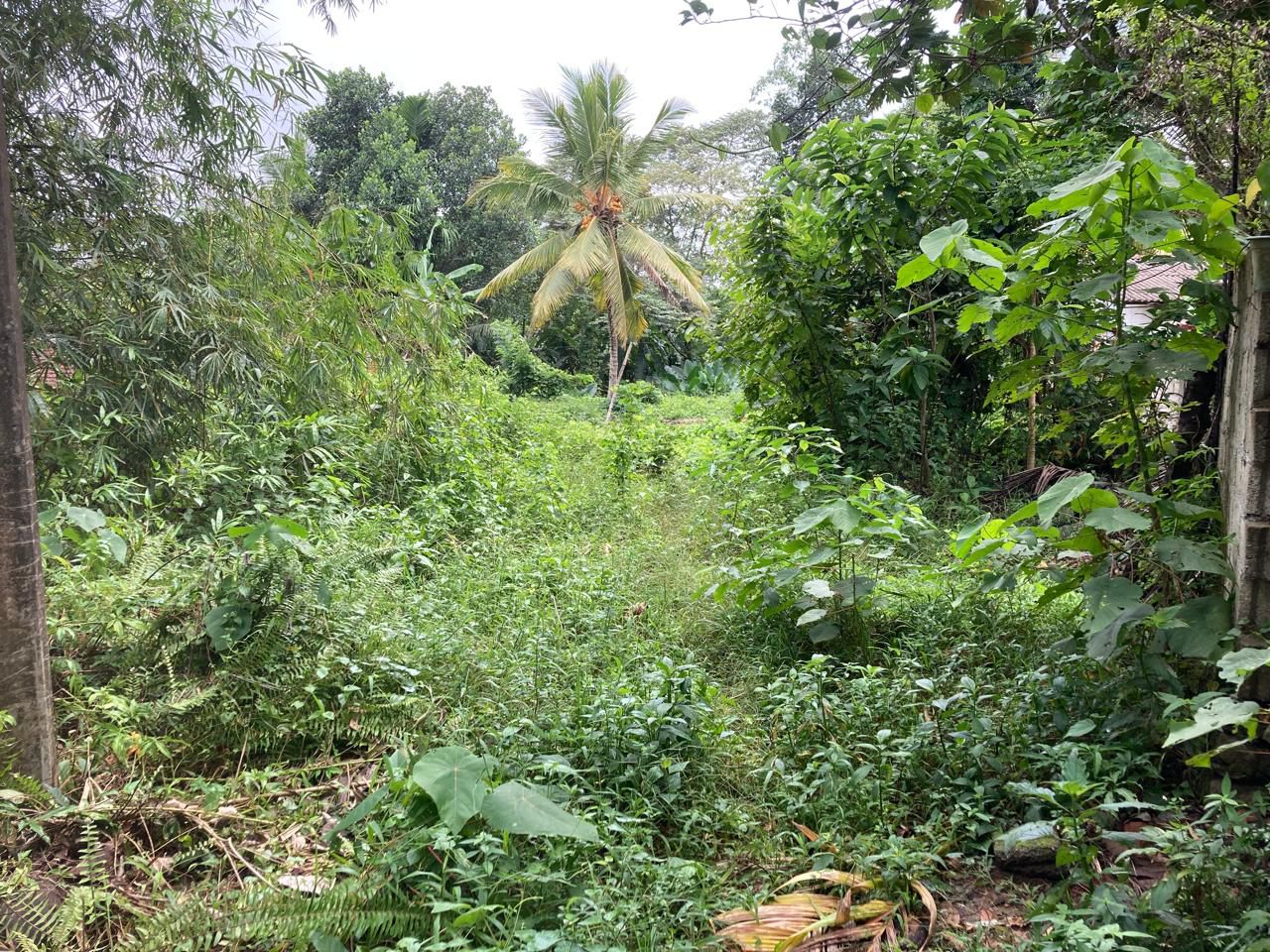 Land for Sale Horana