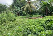 Land for Sale Horana