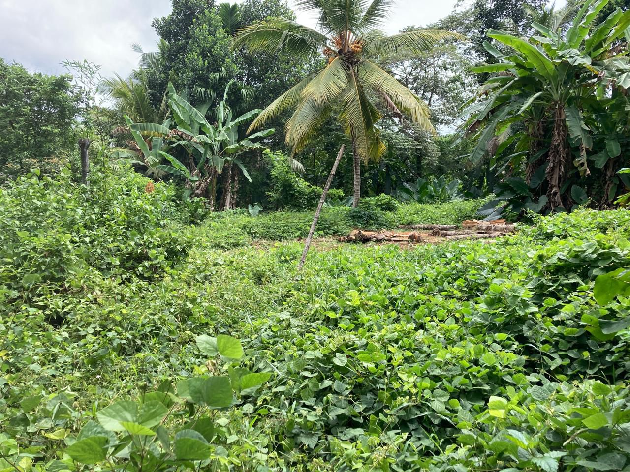 Land for Sale Horana