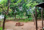 Land For Sale In Anuradhapura