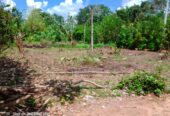 Land For Sale In Anuradhapura