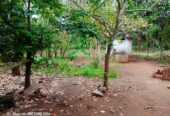 Land For Sale In Anuradhapura