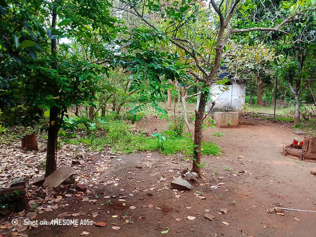 Land For Sale In Anuradhapura