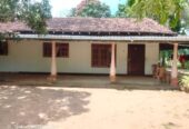 Land For Sale In Anuradhapura