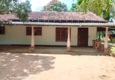 Land For Sale In Anuradhapura