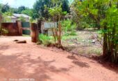 Land For Sale In Anuradhapura