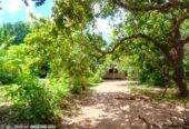 Land For Sale In Anuradhapura