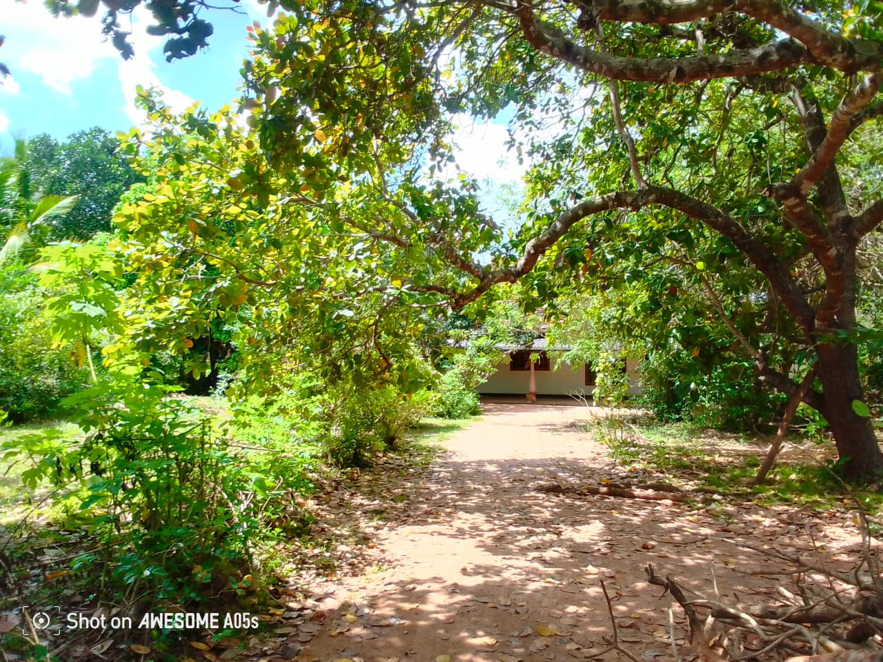 Land For Sale In Anuradhapura