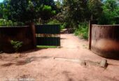Land For Sale In Anuradhapura
