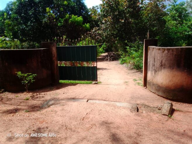 Land For Sale In Anuradhapura