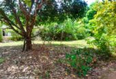 Land For Sale In Anuradhapura