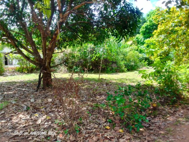 Land For Sale In Anuradhapura