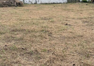 Land for Rent in Pelawatta, Battaramulla