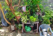 House for Sale – Wellampitiya