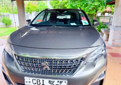 Peugeot 3008 2019
