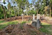 House for Sale Udugampola